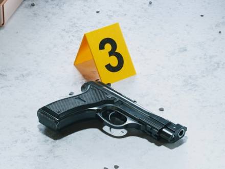 Kane County, IL criminal defense lawyer